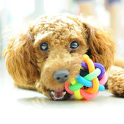 Rainbow Pet Bell Ball