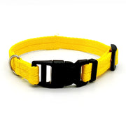 Dog Collar