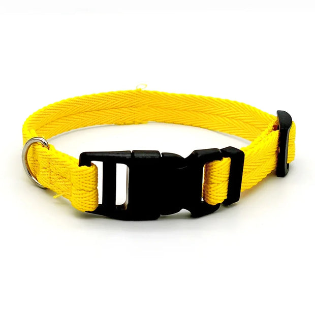 Dog Collar