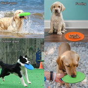 Dog Frisbee