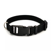 Dog Collar