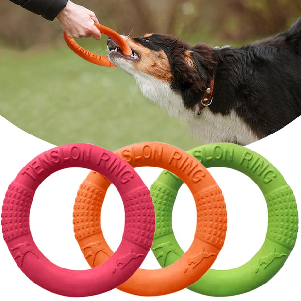 Dog Pull Ring