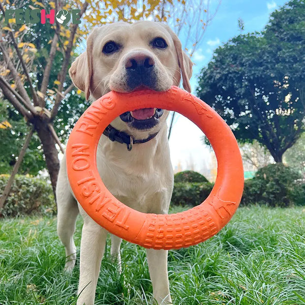 Dog Pull Ring