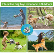 Dog Toy Interactive Pet Football