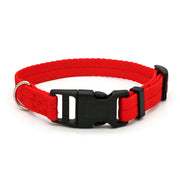 Dog Collar