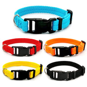 Dog Collar