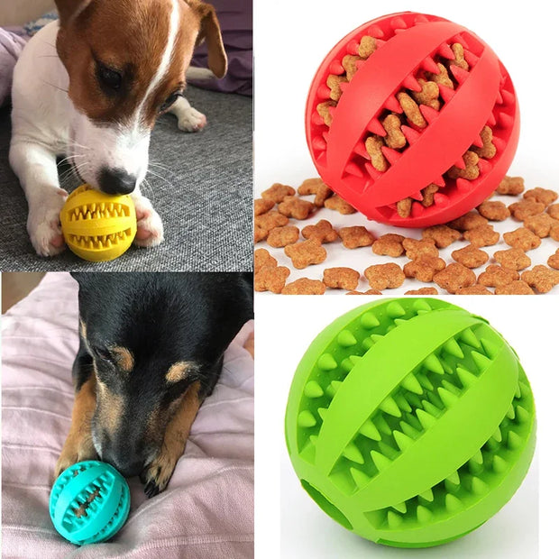 Pet Feeding Ball