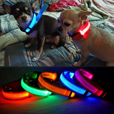 LED Dog Collar For Small And Big Dogs