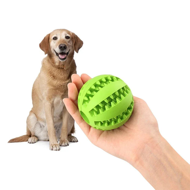 Pet Feeding Ball