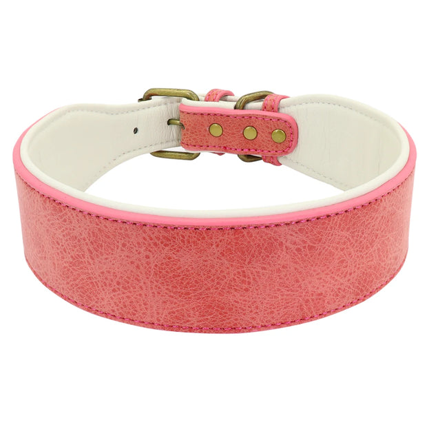 Wide Leather Dog Collar