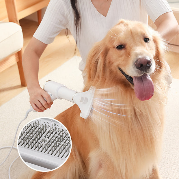 Pet Hair Dryer 2 in 1