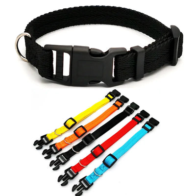 Dog Collar