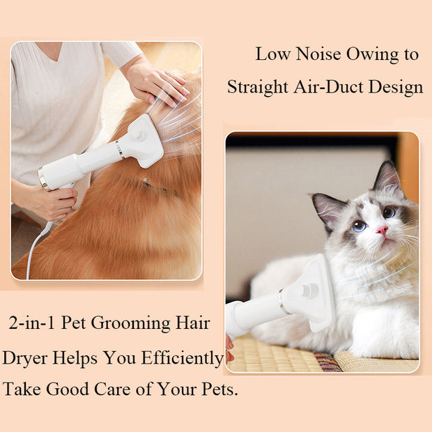 Pet Hair Dryer 2 in 1