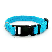 Dog Collar