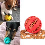 Pet Feeding Ball