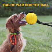 Dog Toy Ball With Rope