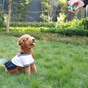 Rainbow Pet Bell Ball